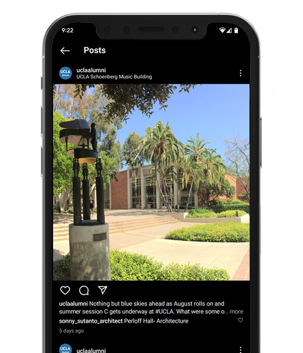 Social media phone display