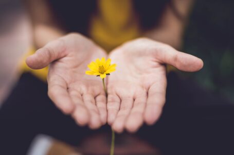 Hands holding a flower - The Depression Grand Challenge