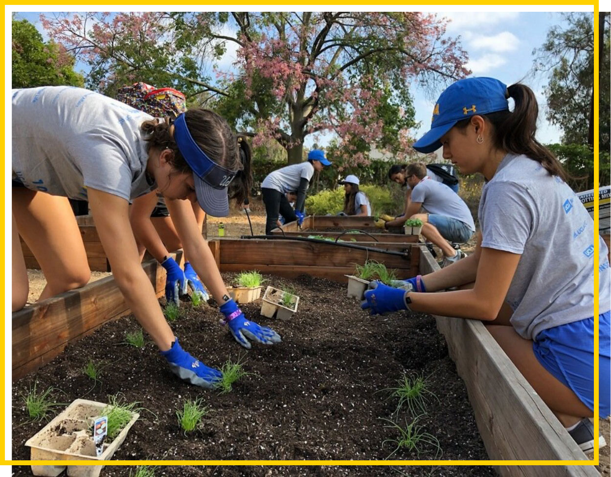 Volunteer Day Volunteer Day
